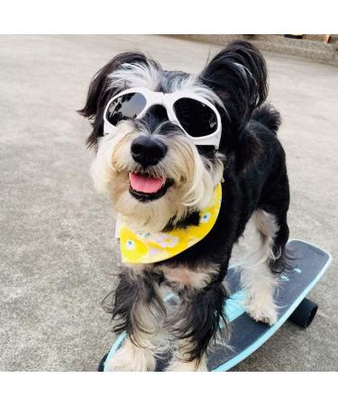 PETLESO Dog Goggles Stylish Pet Sunglasses Anti-Fog Waterproof Windproof Dog Sunglasses Eye Protection Anti-UV Goggles for Small/Medium Dogs - White - Buy Online on GoSupps.com