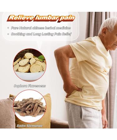 Lumbar Pain Relief Ointment 20g - Portable Lower Back Care Cream for Joint and Muscle Pain - Buy Online on GoSupps.com