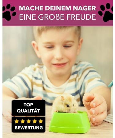 Buy Petgard Holz-Laden Wega 23 - Premium Wooden Cage Expansion & Accessories for Rodents | Durable HODE HADE for Mouse Cages - 23 x 7 x 1 cm - Buy Online on GoSupps.com