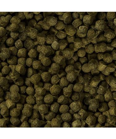 SERA Koi Color Nature Medium 1 Ltr - Natural Spirulina Feed for Colorful Koi (12-25 cm) - No Colors or Preservatives - Buy Online on GoSupps.com