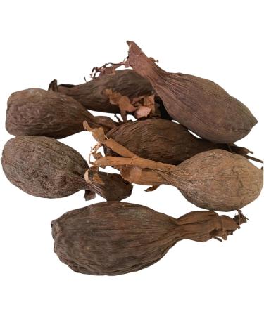 RMY Maniguette enti re Gousse de piment de Guin e (graines de paradis) piment alligator ou poivre alligator-6/ PCS - Buy Online on GoSupps.com