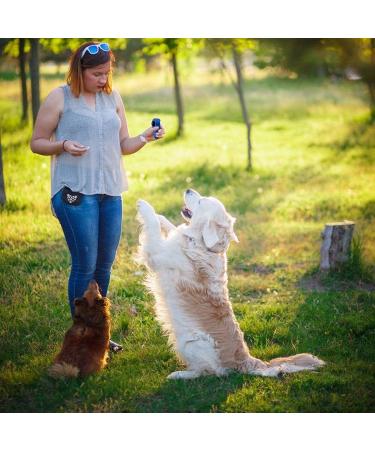 ITRIMAKA Pet Clicker Training Device | Effective Dog & Pet Training Clickers for Dogs Cats Puppies & Birds | Practical Design Light Blue - Buy Online on GoSupps.com