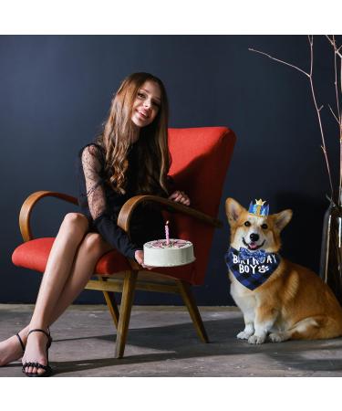 WLLHYF Dog Birthday Party Supplies Boy Dog Birthday Bandana Set with Cute Dog Bow Tie Dog Birthday Crown Hat with Numbers Small Medium Large Dogs(Blue) - Buy Online on GoSupps.com