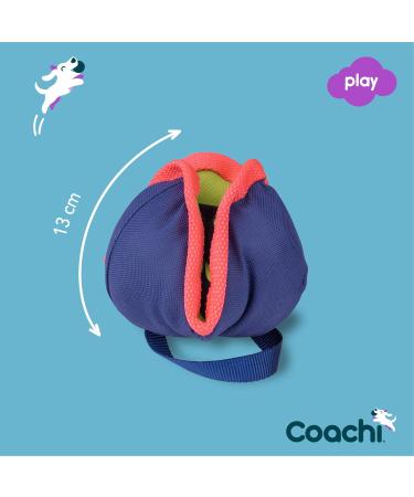 Shop Coachi Tuggi Toys by Company of Animals - Chase & Treat for Dogs | International Shipping Available - Buy Online on GoSupps.com