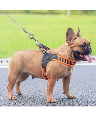 Hoxfly 3m Puppy pet Outdoor Tie Out Lead Leash heavy duty Dog tie out cable Dog Tie Out Cable with 360 Swivel Lockable Hook and PVC Coating Galvanized Steel Wire Rope for Small Medium Pet(Blue) - Buy Online on GoSupps.com