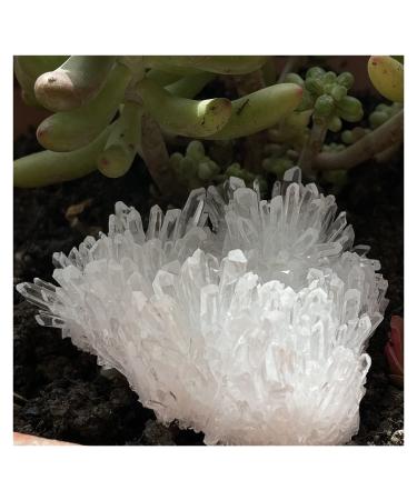 Natural Clear Quartz Crystal Cluster Minerals Reiki Stone Home Furnishing Decoration (Size : 500-600g)
