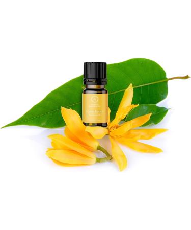 Aakriti Premium Ylang Ylang Essential Oil - 100% Pure & Natural GMP Certified 10ml for Spa Aromatherapy & Diffusion - Perfect for Oil Burner - Buy Online on GoSupps.com