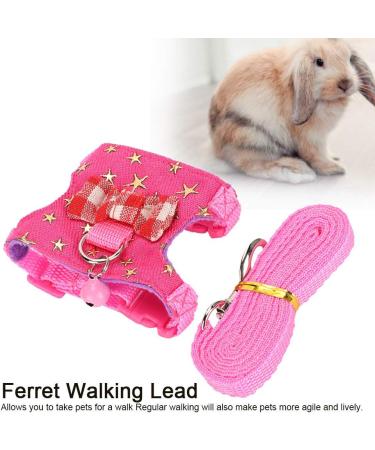 Small Animal Dishes & Leash Set for Squirrels Hamsters Ferrets & Guinea Pigs | Perfect Pet Accessories - Buy Online on GoSupps.com