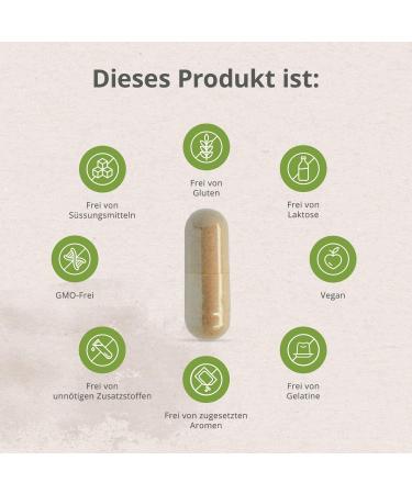 Colon Activ - 240 Capsules | Supports Digestion & Intestinal Health | Gentle 4-Week Nutrient Program with Calcium & Psyllium Husks | International Shipping Available - Buy Online on GoSupps.com