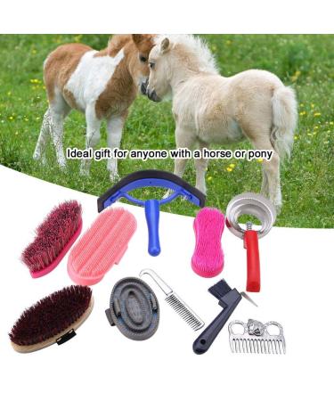 Professional 10-Pc Vier Horse Brush Set - Equestrian Grooming Kit for Horse Cleaning & Care - Buy Online on GoSupps.com