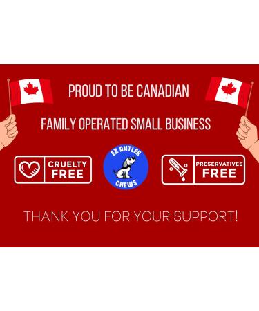 EZ Antler Chews - Elk Antlers for Dogs - Extra Large Split - Dogs under 36kgs - Long Lasting Dog Treats Dog Chews - Marrow Bone Dog Treats Naturally Shed Preservative Free Cruelty Free Antler Dog Chew - Buy Online on GoSupps.com