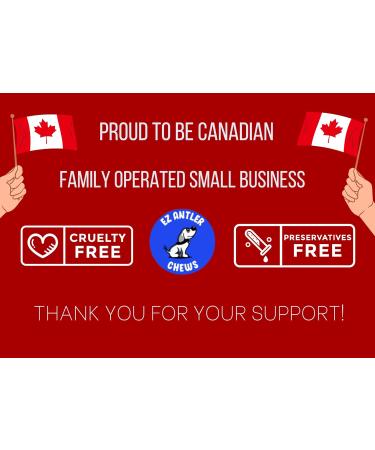 EZ Antler Chews - Moose Antlers for Dogs - Medium Whole - Dogs under 55lbs - Long Lasting Dog Treats Dog Chews - Marrow Bone Dog Treats - Naturally Shed -Preservative Free Cruelty Free Antler Dog Chew - Buy Online on GoSupps.com