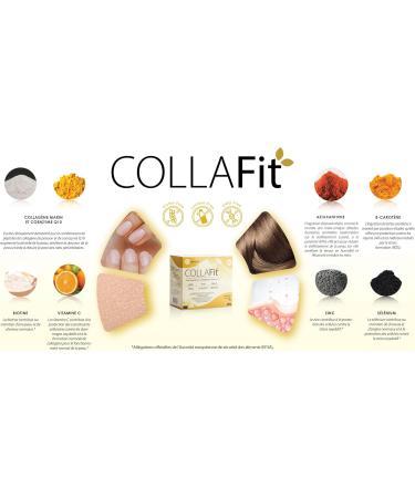 Collafit Food Supplement | The Natural Path to Beauty | Improved Skin Hydration and Elasticity | Patented Marine Collagen Peptides (Type I) | 28 Bags - Buy Online on GoSupps.com