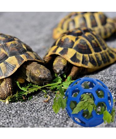 Tortoise Treat Ball Feeding Vegetable - Aquatic Turtle Toy & Feeder for Tank - Snail Habitat Accessories in Blue - Buy Online on GoSupps.com