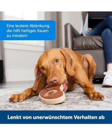 PetSafe Busy Buddy Rawhide Chew Rings for Dogs - 16 Pieces (120g) - Ideal for Snack Ring Toys - International Shipping Available - Buy Online on GoSupps.com