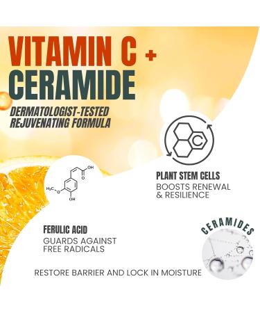 Alozera Vitamin C Body Lotion (2-Pack) and Retinol Collagen Serum with Ceramides and Stem Cells Hydrating and Firming Skincare Duo for Face Neck and Body Lightweight Fragrance-Free Made in USA - Buy Online on GoSupps.com