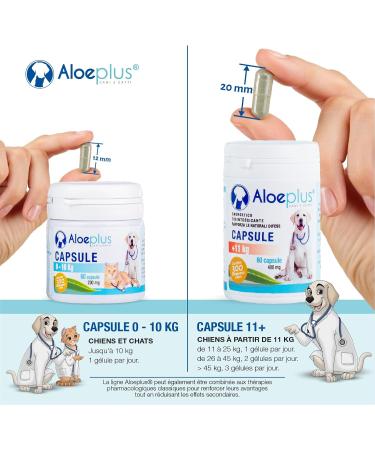 ALOEPLUS Cats and Dogs Capsules - Energetic and Detoxifying Food Supplement with Organic Aloe Arborescens Strengthens the Natural Defenses of Cats and Dogs 60 Capsules - Buy Online on GoSupps.com