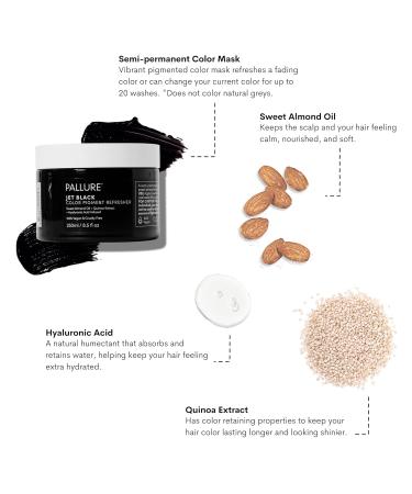 Color Pigment Refresher Mask Shine Kit - Semi Permanent Jet Black Hair Color Depositing Conditioner 8.5 Oz | International Shipping Available - Buy Online on GoSupps.com