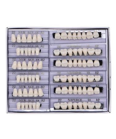 168 Pcs Dental Synthetic Resin Tooth Denture 6 Sets False Teeth 22 A2 Upper Lower Shade Dental for Halloween Horror Teeth (22 A2)
