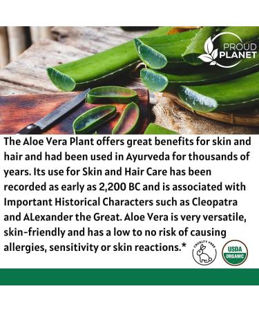 Organic Aloe Vera Powder for Hair & Face (2lb) | Aloe Barbadensis Extract USDA Certified - Proud Planet - Buy Online on GoSupps.com