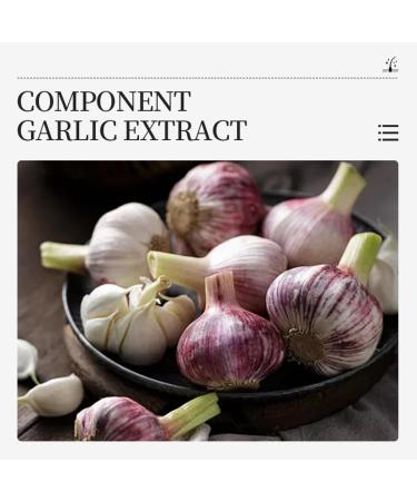 Zynewa Garlic Hair Conditioner hair mask with garlic hair mask antihair loss hair mask garlic hair conditioner intensive restorative hair treatment antihair loss strengthens and cares for damaged - Buy Online on GoSupps.com