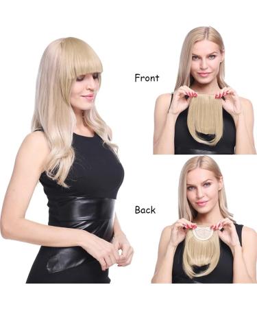 Bangs Hair Clip Fake Bangs Synthetic Blunt Bang Clip in Hair Extension Women Blunts Fringe Hair Black Brown Bangs 2 Clips Bangs Clip in Hair(Color:Light brown) 8inch Light brown - Buy Online on GoSupps.com