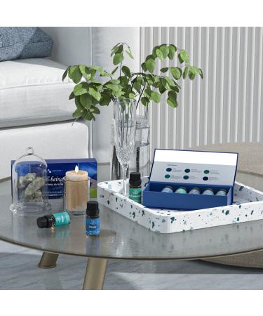 ASAKUKI Essential Oil Blends Gift Set - Calming Dreams, Breathe, Relaxing Mood - Aromatherapy Oils for Home Diffusers, Humidifiers, and Massage - 6x10ml - Buy Online on GoSupps.com