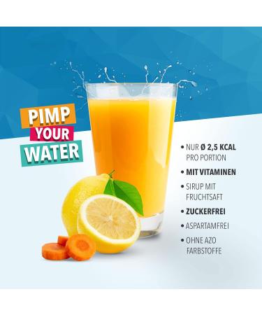 Best Body Nutrition Vital Drink Zerop A-C-E - Sugar-Free Beverage Concentrate (1L) | Makes 80 Liters | Original Sirup - Buy Online on GoSupps.com