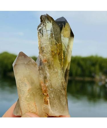 100G Natural Citrine Cluster Specimen Quartz Crystal Suitable for Home ERTEYIN - Buy Online on GoSupps.com