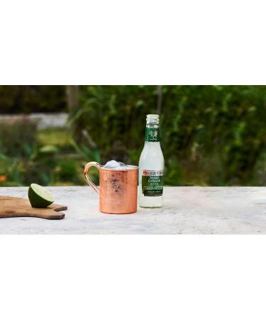 Fever-Tree Ginger Beer 4 x 200 ml - Pack of 6 (24 Bottles) | Buy Internationally Online - Buy Online on GoSupps.com