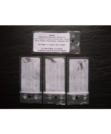 Portal Cool 70 Graines: epazote - Chenopodium Ambroisies - Messico-Tea - Sem03 - Buy Online on GoSupps.com