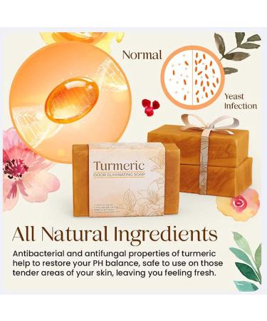  REPWEY 2 pcs PureHarmony Turmeric Odor Eliminating Soap Turmeric Soap for Skin Lightening Turmeric And Honey Soap Bar Cleansing Natural Handmade Soap for All Skin - Buy Online on GoSupps.com