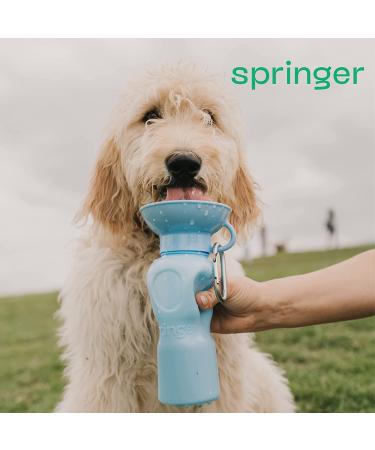 Springer Dog Travel Water Bottle | Leak-Proof Portable BPA-Free Bottle | Shark Tank Featured | 22oz Indigo Bottle for Walking, Hiking & Travel - Buy Online on GoSupps.com