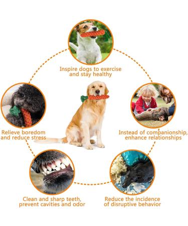 Zeaying Carrot Dog Toys - 2 Piece Braided Rope Set for Small & Medium Puppies | Chicken Stuffed Toys - Buy Online on GoSupps.com