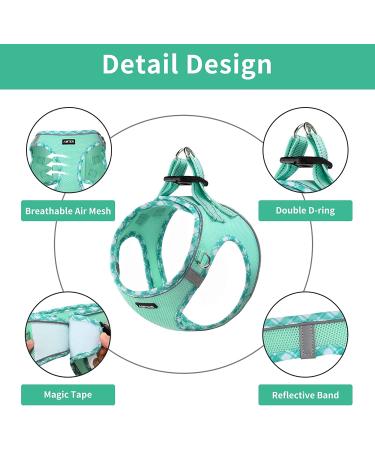 AMTOR Reflective Dog Harness & Leash Set for Small Dogs/Cats - Adjustable & No Pull - Chest Size 13.5-16.0 - Light Green - Buy Online on GoSupps.com