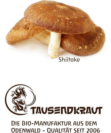 Shiitake Bio Powder 500g - Premium Quality from Slovenia | Sustainable EU Production | German Brand - High Safety Standards - Buy Online on GoSupps.com