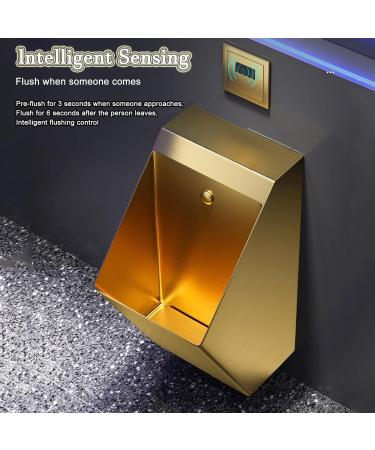 Urinarios de Acero inoxidable Inodoro de ba o Familiar de Acero inoxidable 304 dise o de inducci n inteligente inodoro urinario con Sensor autom tico urinario de descarga para Hombres mon Gold - Buy Online on GoSupps.com