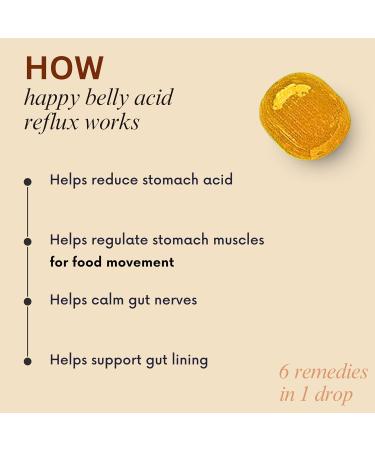 Effective Heartburn & Acid Indigestion Relief Drops | Safe Antacid Alternative | Magnesium Citrate & Natural Ingredients | 31ct - Buy Online on GoSupps.com