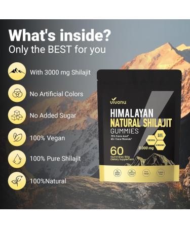 Himalayan Shilajit Gummies with Ashwagandha & Gokshura | 85+ Trace Minerals & Fulvic Acid | Organic, Non-GMO Micronutrient Supplement for Men & Women | 100% Pure & Natural 1 Bag / 60 Gummies - Buy Online on GoSupps.com