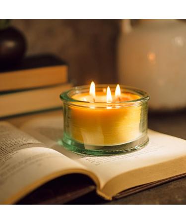 Buy Bluecorn Botanica Beeswax Candle - 3-Wick Pure Beeswax & Vanilla Scented Candle | International Shipping Available - Buy Online on GoSupps.com