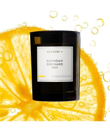 SENSORI+ Detoxifying Soy Candle - Gayndah Orchard 4625 | 260g | Eco-Friendly International Shipping - Buy Online on GoSupps.com