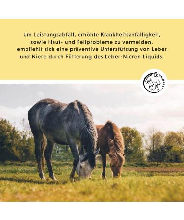 Annimally Liver Kidney Liquid for Horses - 1000ml Herbal Juice with Dandelion & Artichoke for Healthy Metabolism - Buy Online on GoSupps.com