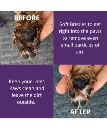 Paw Buddy Dog Brush - Grooming Tool for Healthy and Shiny Fur - Buy Online on GoSupps.com