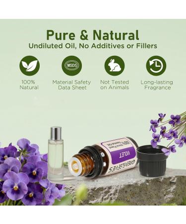 GREENSLEEVES Violet Essential Oil Set 100% Pure Violet Aromatherapy Oils for Diffuser Humidifier - 10ml - Buy Online on GoSupps.com