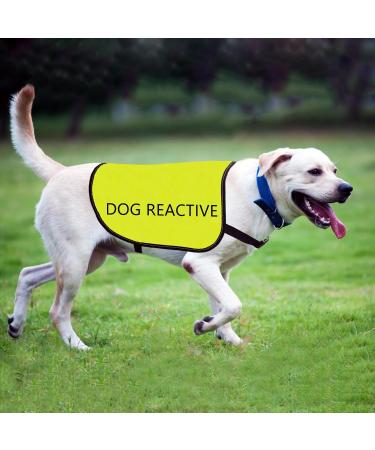 Buy Reactive Dog Jacket Vest | Dog Reactive-Medium | Warning Slogan for Safe Walks - Buy Online on GoSupps.com