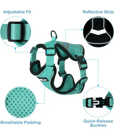 PetBonus Adjustable Cat Harness & Lead Set - Escape Proof Kitten Vest - Breathable & Reflective - Turquoise (Small) - Buy Online on GoSupps.com
