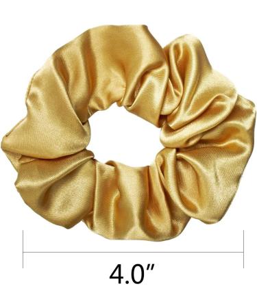 12 Pieces Silk Hair Scrunchies - Elastic Hair Bobbles Scrunchy FOR Women girls satin Hair Ties Ponytail Holder for Thick Thin Curly Hair 6 Colors (Natural) - Buy Online on GoSupps.com