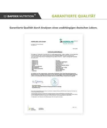 Buy BAFOXX Nutrition Ginger Capsules - 180 Vegan Capsules 300mg Ginger Powder - Natural Additive-Free - Premium German Quality for 6 Months Supply - Buy Online on GoSupps.com