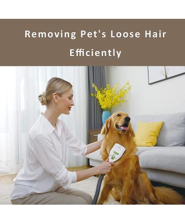 Cordless Pet Vacuum Cleaner with Grooming Brush - Professional Shedding Tool Kit for Dogs and Cats - Buy Online on GoSupps.com