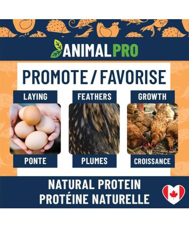 AnimalPro Black Soldier Fly 227 g - 0 5 LB - Buy Online on GoSupps.com